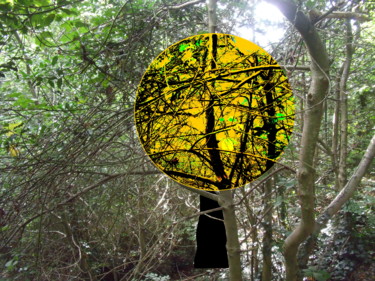 Sun Constructed In A Wood