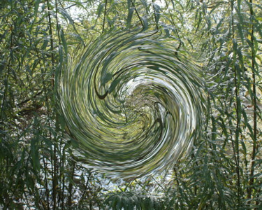 The Swirl