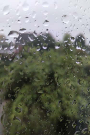 Wet Window