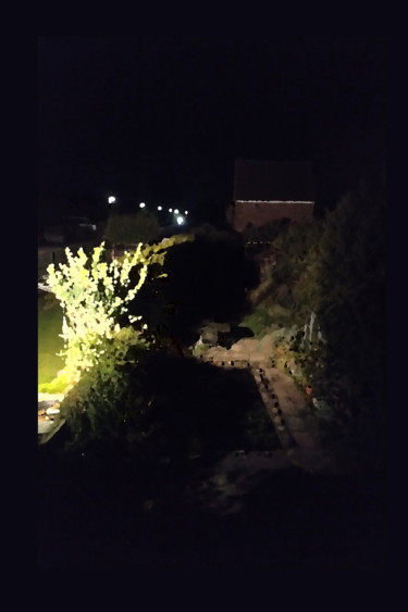 The Garden At Night