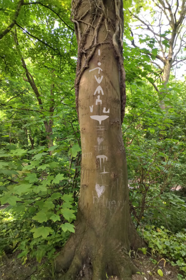 Tree Signs